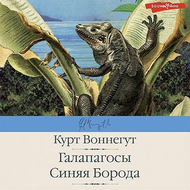 Галапагосы. Синяя Борода