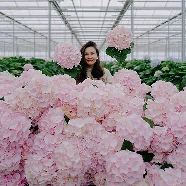 Кристина Хананеина: цветочная жизнь в Нидерландах