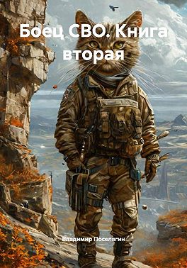Боец СВО. Книга вторая