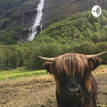 Прославившийся мышонок