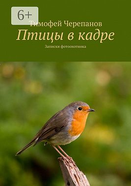 Птицы в кадре. Записки фотоохотника