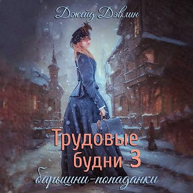 Трудовые будни барышни попаданки. Книга 3