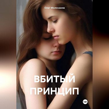 ВБИТЫЙ ПРИНЦИП