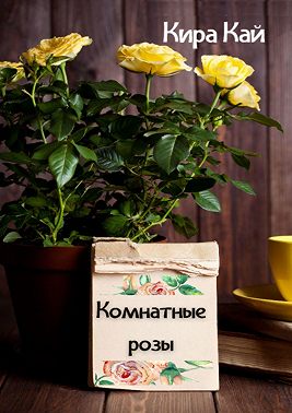 Комнатные розы