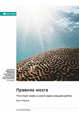 Правила мозга. Что стоит знать о мозге вам и вашим детям. Джон Медина. Саммари