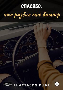 Спасибо, что разбил мне бампер