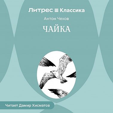 Чайка