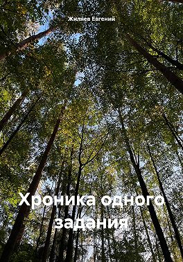 Хроника одного задания