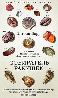 Собиратель ракушек