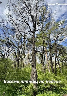 Восемь пятниц на неделе