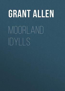 Moorland Idylls