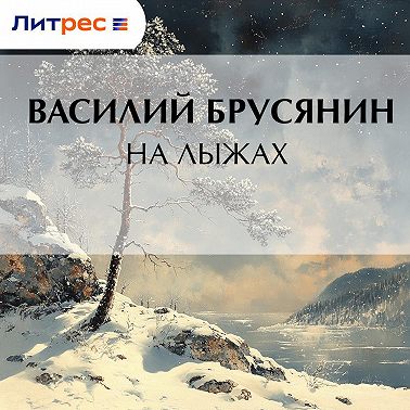 На лыжах