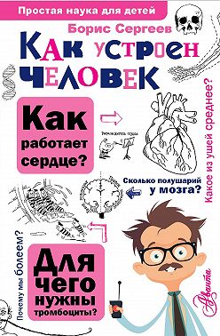 Как устроен человек