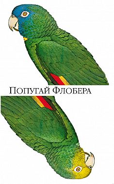 Попугай Флобера