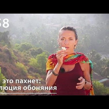 Чем это пахнет: эволюция обоняния