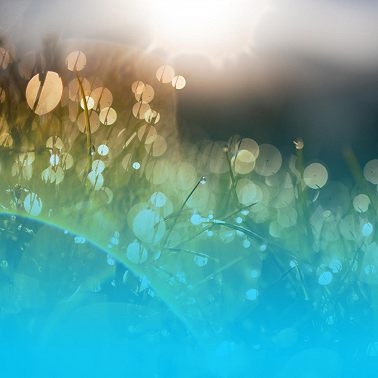 «Великий пост»