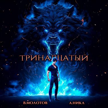 Тринадцатый. Том IV