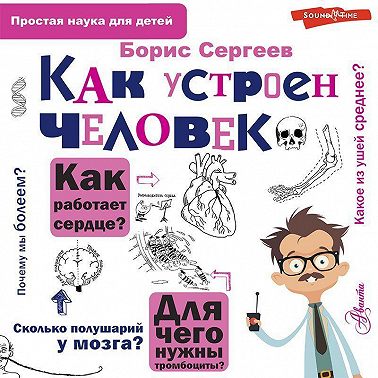 Как устроен человек