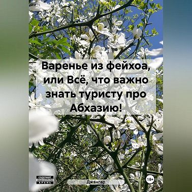 Варенье из фейхоа, или Всё, что важно знать туристу про Абхазию!