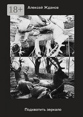 Подхватить зеркало. Роман с самим собой