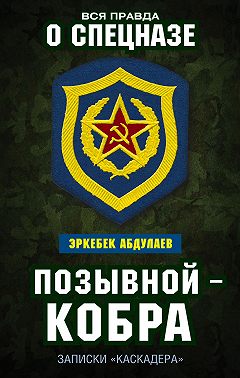 Позывной – Кобра. Записки «каскадера»