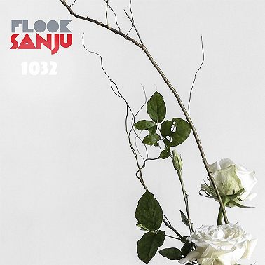 Выпуск №1032. Flook Sanju