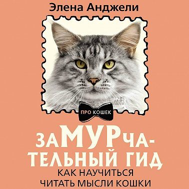 ЗаМУРчательный гид. Как научиться читать мысли кошки