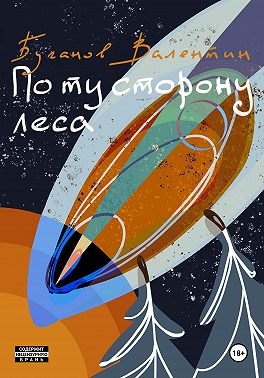По ту сторону леса