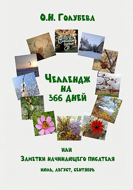 ЧЕЛЛЕНДЖ НА 366 ДНЕЙ. Часть 3. Июль, август, сентябрь.