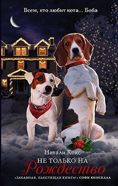 Не только на Рождество