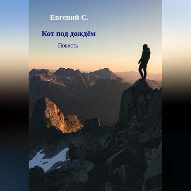 Кот под дождём