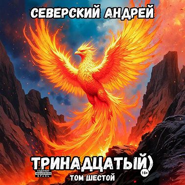 Тринадцатый. Том 6