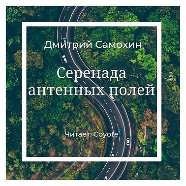 Серенада антенных полей