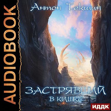 Застрявший. Книга 3. Застрявший в Кишке