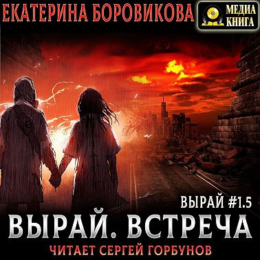 Вырай 1.5. Встреча