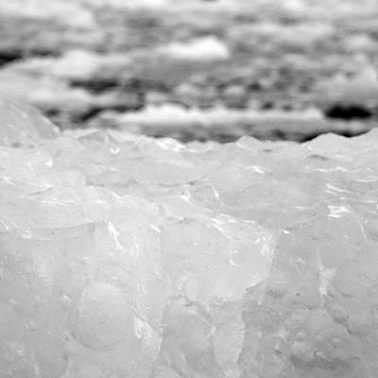 16. Кринжовый биокриоподкаст