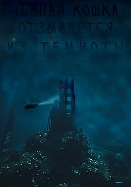 Чёрная кошка отзывается из темноты