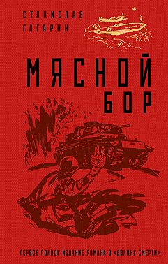 Мясной Бор