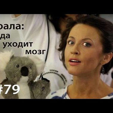 Коала: куда уходит мозг