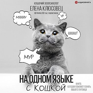 На одном языке с кошкой