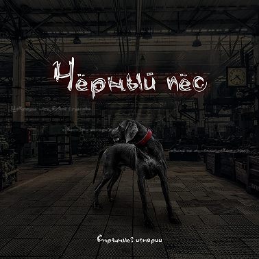 Чёрный пёс
