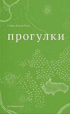 Прогулки