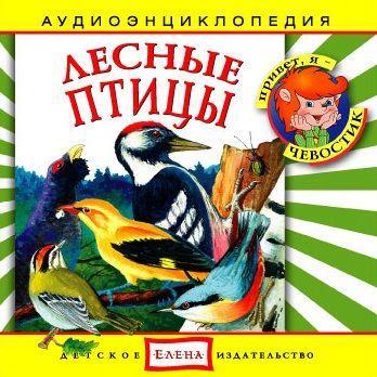 Лесные птицы