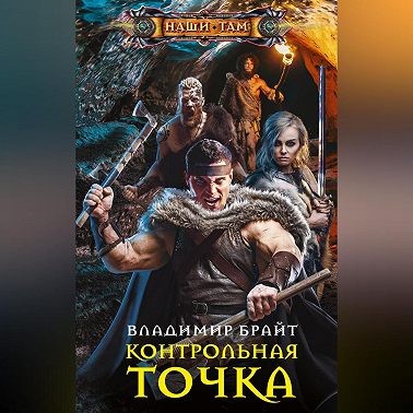 Контрольная точка