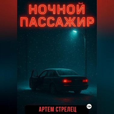 Ночной пассажир