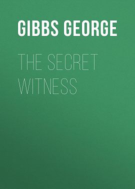 The Secret Witness