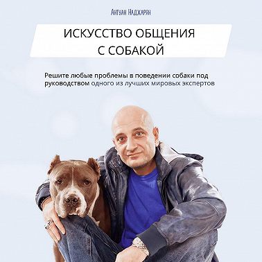 Искусство общения с собакой