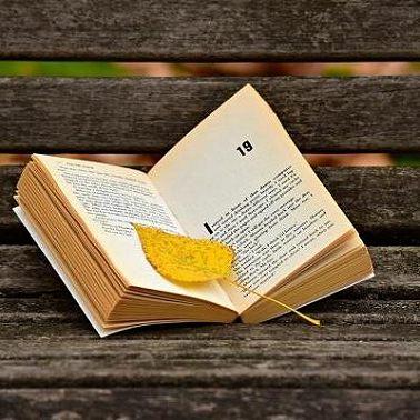 Дороти Джеймс. Рассказ "Одержимость"