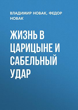 Жизнь в Царицыне и сабельный удар