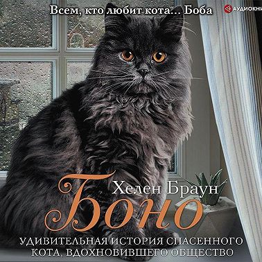 Боно. Удивительная история спасенного кота, вдохновившего общество